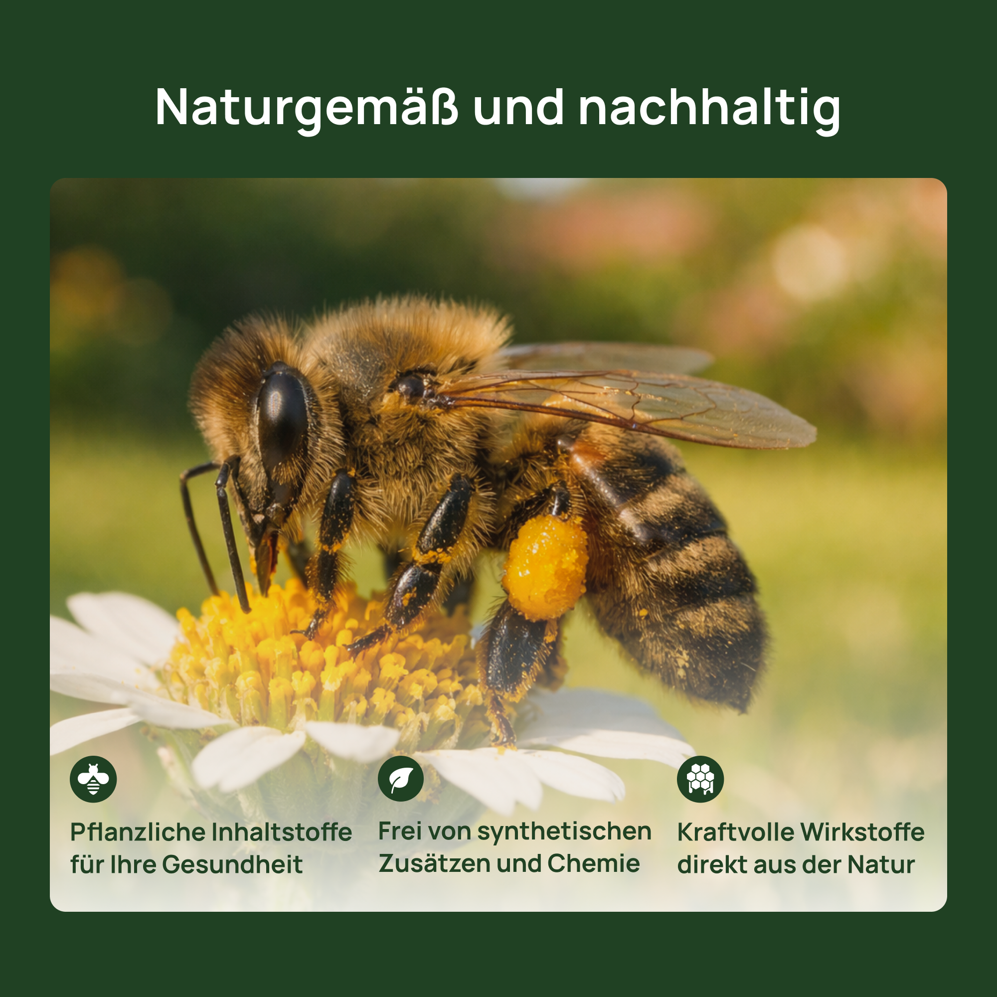Organisch-mineralischer Universaldünger Vegan