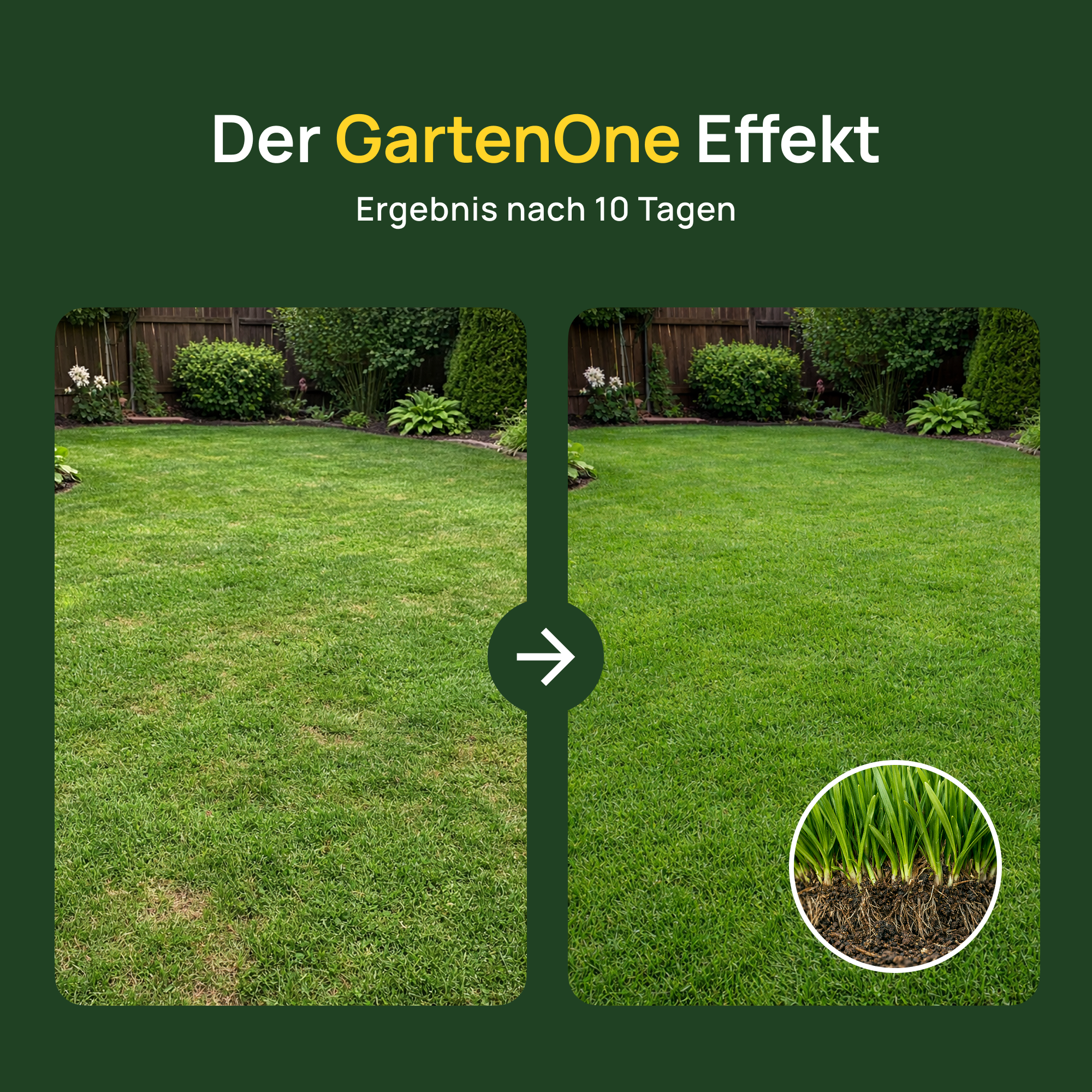 Organisch-mineralischer Rasendünger Spezial mit Eisensulfat